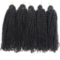 Lot de 3 Crochet Hair Cheveux vierges 10A – Kinky curly - Thifany Hair Company